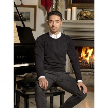 Logo trade promotional merchandise photo of: Merrit men's crewneck pullover