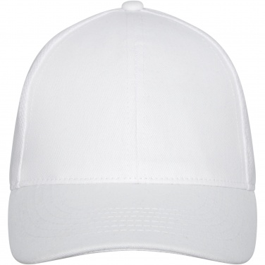 Logo trade promotional merchandise picture of: Drake 6 panel trucker cap
