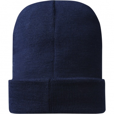 Logotrade promotional product picture of: Hale Polylana® beanie