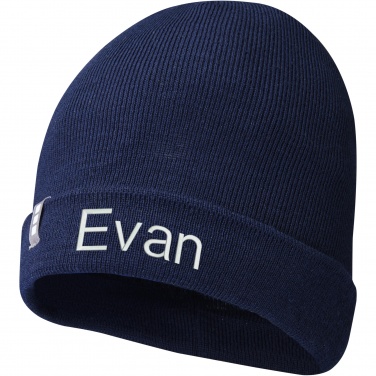 Logo trade promotional items image of: Hale Polylana® beanie