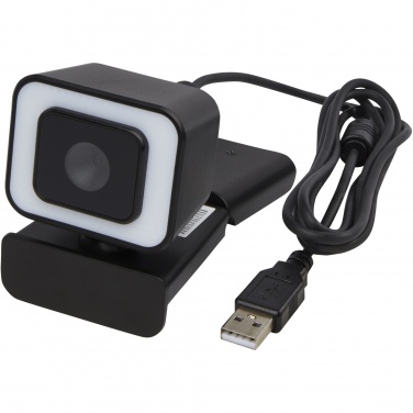 Logotrade promotional merchandise image of: Hybrid webcam