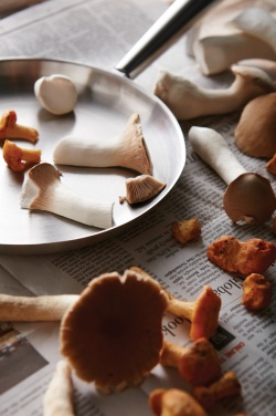 Logo trade advertising products picture of: VINGA Vici Outdoor Pan