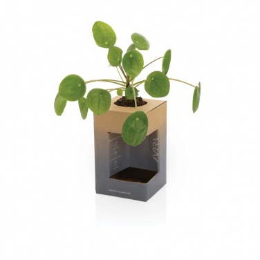 Logo trade advertising products image of: Avira Alya RCS Re-steel tumbler 300 ml