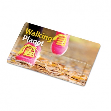 Logo trade promotional merchandise image of: Creditcard. USB flash 32GB