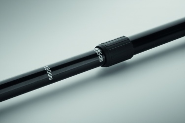 Logotrade promotional merchandise photo of: Nordic walking poles