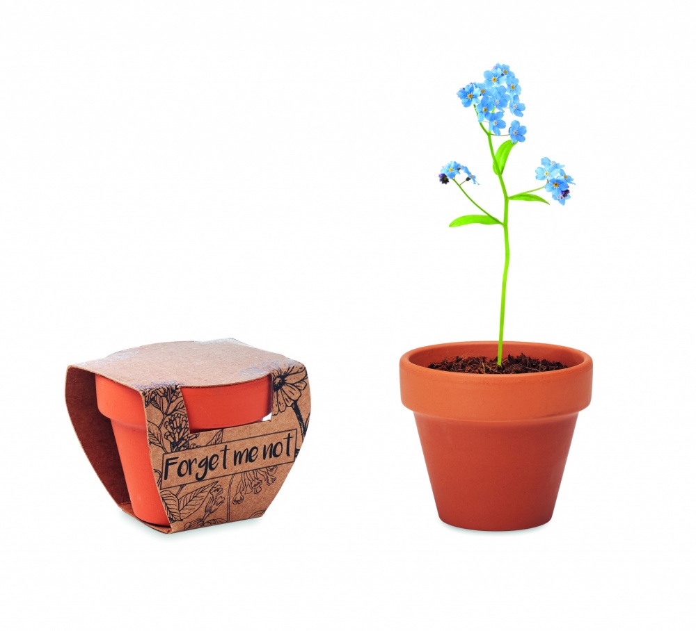 Logotrade promotional product image of: Terracotta pot 'forget me not'