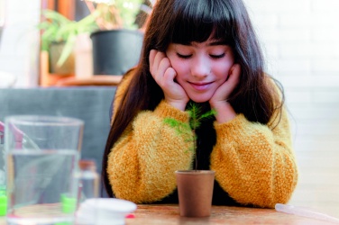 Logo trade corporate gifts image of: Pine tree set