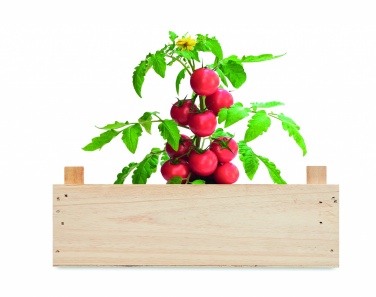 Logotrade advertising product image of: Tomato kit in wooden crate