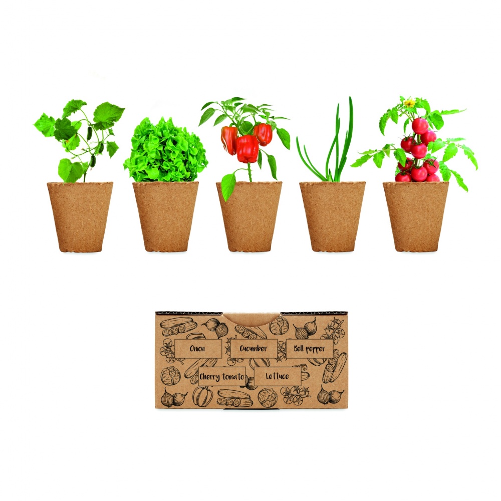 Logotrade corporate gift picture of: Salad growing kit