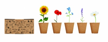 Logotrade promotional product picture of: Flowers growing kit
