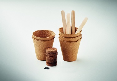 Logotrade promotional giveaway image of: Flowers growing kit