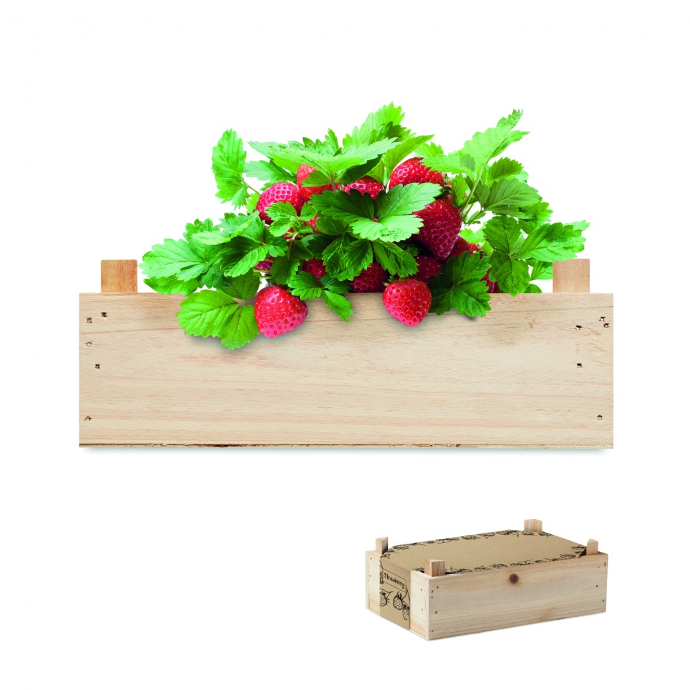 Logotrade promotional products photo of: Strawberry kit in wooden crate