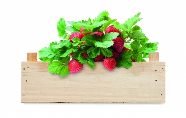 Logotrade promotional product image of: Strawberry kit in wooden crate