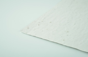 Logotrade business gifts photo of: A5 wildflower seed paper sheet