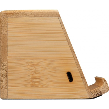 Logotrade business gift image of: Induction loudspeaker NUREMBERG