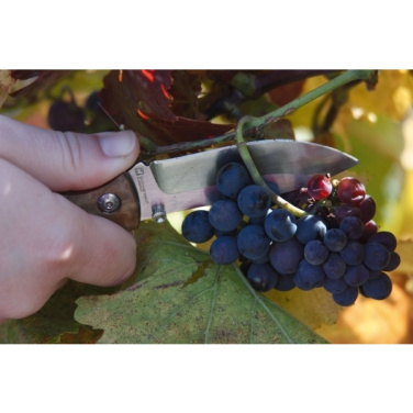 Logotrade promotional gifts photo of: Pocket knife JUNGLE Schwarzwolf