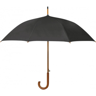 Logotrade promotional giveaway image of: Automatic Umbrella HASSELT