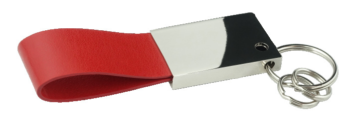 Logo trade promotional gifts picture of: Keyring 909119