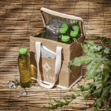 Logo trade promotional products image of: Agra Cooler Bag