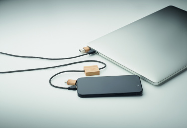 Logotrade promotional giveaway picture of: 60W charging cable