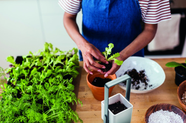 Logo trade promotional products picture of: Indoor garden with LED light