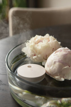 Logotrade advertising product image of: Breevia RCS rplasic re-chargeable floating humidifier