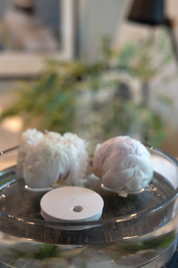 Logotrade corporate gift picture of: Breevia RCS rplasic re-chargeable floating humidifier