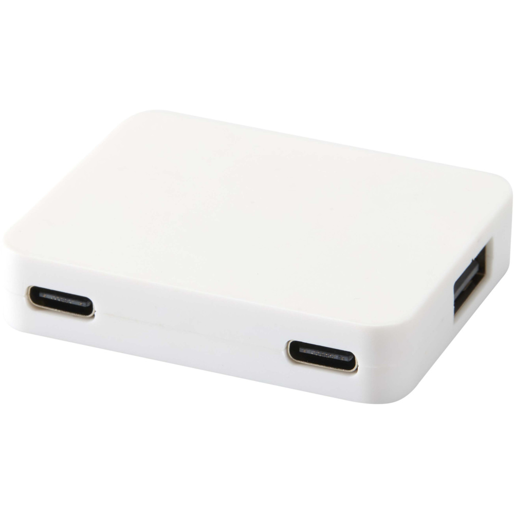 Logotrade business gift image of: Gaia 4-port USB hub with USB-A and Type-C output and dual input - made from recycled plastic
