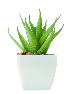 Logo trade promotional giveaways picture of: Mini artificial plant