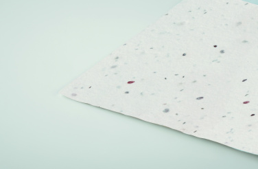 Logotrade promotional gift picture of: Wildflower seed business card.