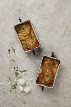 Logotrade ärikingid pilt: VINGA Monte neu mini ahjunõu 2 tk