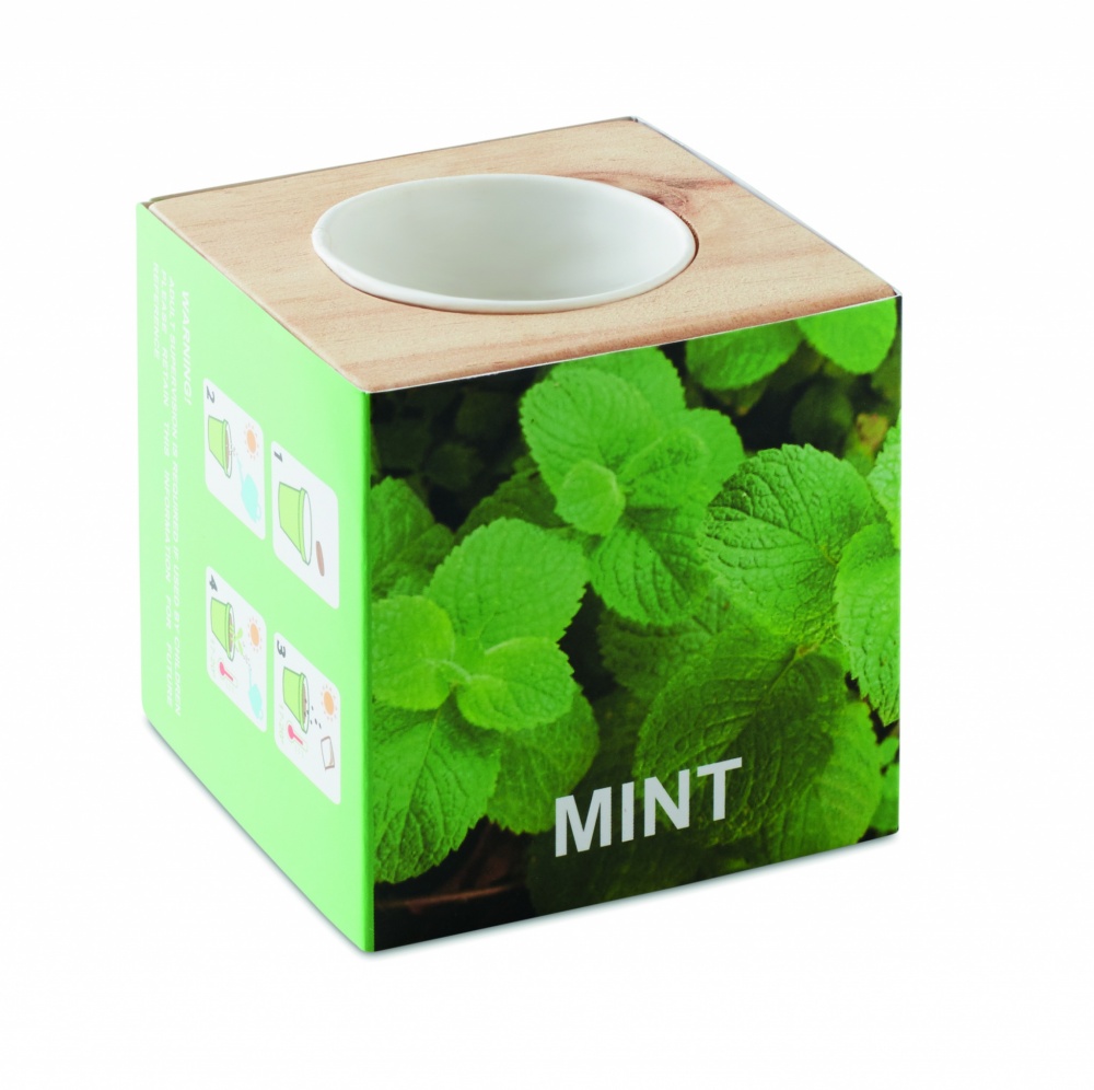Logotrade firmakingid pilt: Ürdipott "MINT"