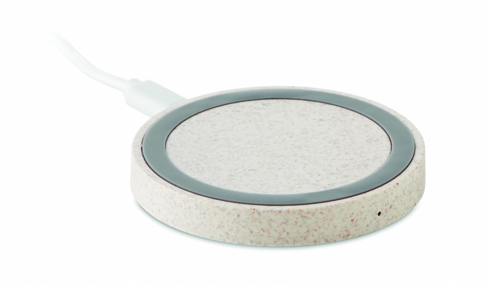 Logotrade reklaamkingituse foto: Nisukõrre/ABS laadija 5W