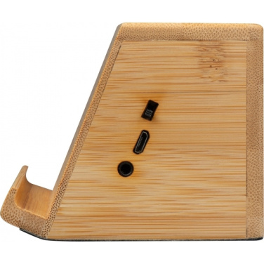 Logotrade firmakingitused pilt: Induktsioonkõlar NÜREMBERG