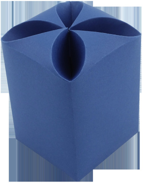 Logotrade reklaamkingitused pilt: Karp (14,5x7,5x7,5cm) 577037