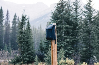 Logo trade liikelahjat tuotekuva: Swiss Peak Fern AWARE™ RPET 15" reppu vetoketjulla