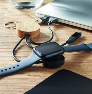 Logo trade liikelahja kuva: Avaimenperä 4 in 1 60W kaapelil