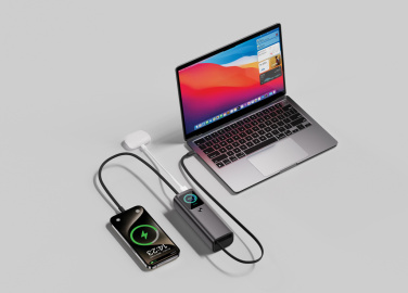 Logo trade liikelahja mainoslahja tuotekuva: Urban Vitamin Stanford 165 W 20 000 mAh -varavirtalähde